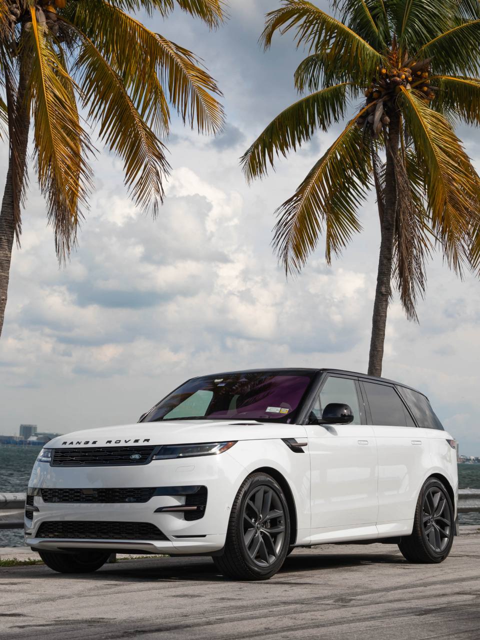 NXL Exotic Car Rental