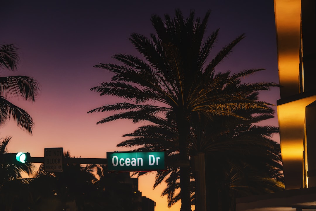 The 5 Best Miami Drives for Exotic Cars — Ocean Drive to Key Biscayne